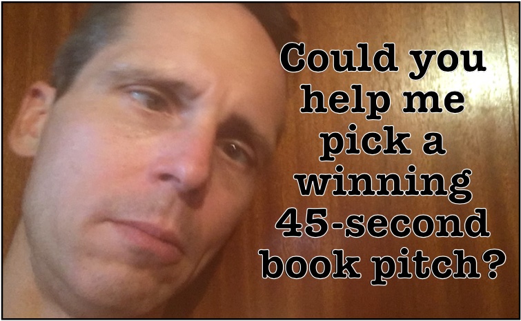 Could you help me  pick a winning  45-second book pitch?