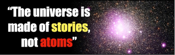 "The universe is made of stories, not atoms"