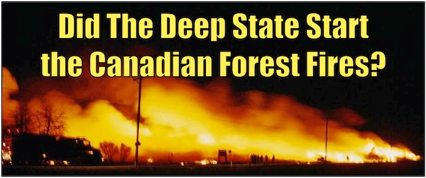 

Did The Deep State Start the Canadian Forest Fires?

