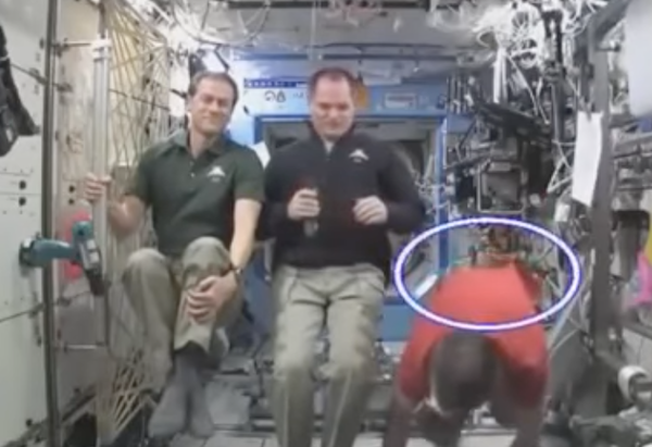 Harnesses on ISS crew